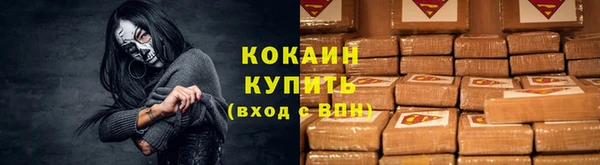 соль ск Алексин