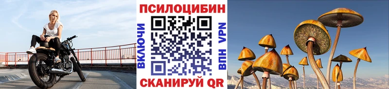 Псилоцибиновые грибы мицелий  Ачинск 